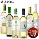 激安!!お買い得 ソーヴィニヨンブラン 飲み比べ ワインセット 6種6本セット 750ml ×6