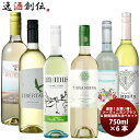激安!!爽やかソーヴィニヨンブラン・微発砲 お買い得 ワインセット 6種6本 飲み比べ 750ml×6