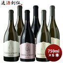 チリ ぎんの雫 3種6本飲み比べ 750ml シャルドネ・ピノノワール・ソーヴィニヨンブラン