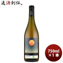 フランス ムーン・レンジ Moon Range (by Lionel Boutie) ヴァン・オランジュ2023 750ml 1本 オレンジワイン