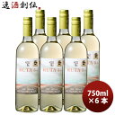 チリ ルタ5・ソーヴィニヨンブラン 750ml 6本 白・辛口
