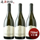 【7/15は逸酒創伝の日!最大200円OFFクーポン配布中!】ぎんの雫 グット・ダルジャン・シャルドネ 750ml 3本 チリ 白ワイン 辛口 お酒