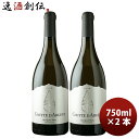【7/15は逸酒創伝の日!最大200円OFFクーポン配布中!】ぎんの雫 グット・ダルジャン・ソーヴィニョン・ブラン 750ml 2本 チリ 白ワイン 辛口 お酒