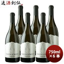 【7/15は逸酒創伝の日!最大200円OFFクーポン配布中!】ぎんの雫 グット・ダルジャン・ソーヴィニョン・ブラン 750ml 6本 チリ 白ワイン 辛口 お酒