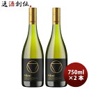 【5/5は逸酒創伝の日!最大200円OFFクーポン配布中♪】シレーニ Sileni グランドリザーヴ ロッジ シャルドネ 750ml 2本 ニュージーランド ワ...