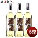 スペイン イサベリ−ノ・ルエダ 2022 750ml 3本 白ワイン 辛口 お酒