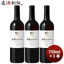 【5/5は逸酒創伝の日!最大200円OFFクーポン配布中♪】シャトー・メルシャン 長野メルロー 750ml 3本 赤ワイン 長野県 日本ワイン 国産ワイン