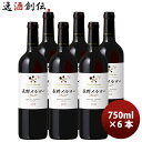 【5/5は逸酒創伝の日!最大200円OFFクーポン配布中♪】シャトー・メルシャン 長野メルロー 750ml 6本 赤ワイン 長野県 日本ワイン 国産ワイン