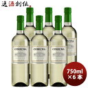 チリ コセチャ ソーヴィニヨンブラン 750ml 6本 白ワイン・辛口