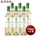 チリ ティエラ ヌエバ トラディション ソーヴィニヨン ブラン 750ml 6本 白・辛口