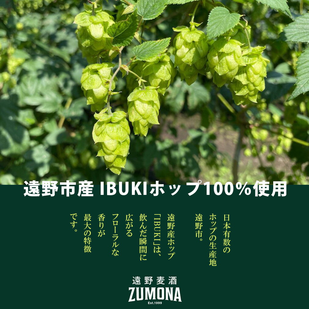 遠野麦酒 ZUMONA ズモナビール ゴールデンピルスナー 缶 350ml 48本(2ケース) クラフトビール 岩手県