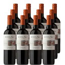 コノスル カルメネール ヴァラエタル(ビシクレタ) 750ml×12本 (新旧画像切り替え中) ギフト 父親 誕生日 プレゼント