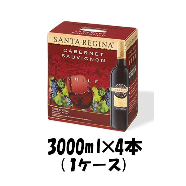 父の日 赤ワイン サンタ・レジーナ カベルネ・ソーヴィニヨン 3000ml 3L BIB(バッグインボックス） wine お酒