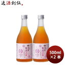 合同酒精 贅沢梅酒 500ml 2本