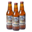 【5/5は逸酒創伝の日!最大200円OFFクーポン配布中♪】ベアード ウィートキング ウィット 330ml 3本 静岡県 ギフト 父親 誕生日 プレゼント
