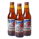 【5/5は逸酒創伝の日!最大200円OFFクーポン配布中♪】ベアード ライジングサン ペールエール 330ml 3本 静岡県 ギフト 父親 誕生日 プレゼント