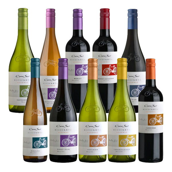 チリ ワイン コノスル ビシクレタ (ヴァラエタル) wine 10本 飲み比べセット 750ml × 10本 ギフト 父親 誕生日 プレゼント お酒