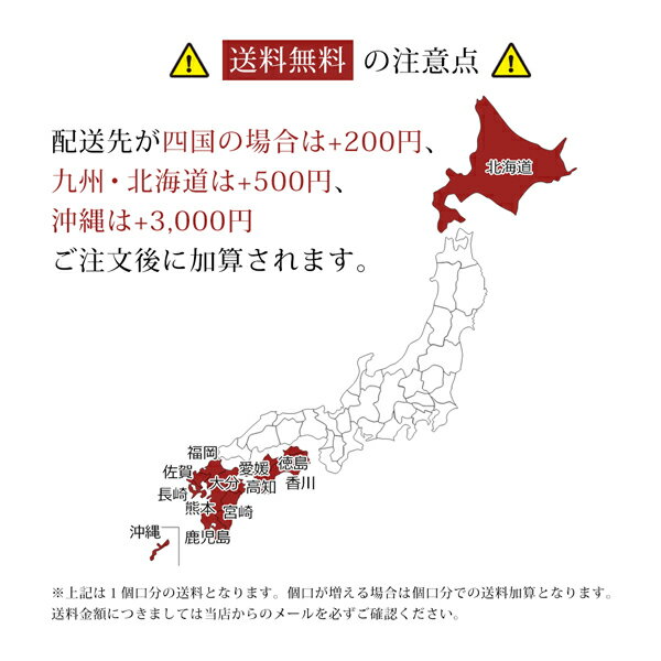 お中元 ザ・プレミアムモルツ 香るエール 500ml 24本 1ケースサントリー プレモル 本州送料無料　四国は+200円、九州・北海道は+500円、沖縄は+3000円ご注文後に加算 ギフト 父親 誕生日 プレゼント 父の日