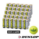 《送料無料》DUNLOP フォート2球入り（30缶/60球）ダンロップ 硬式 テニスボール