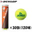 《送料無料》　DUNLOP　セントジェームス　4球入り(15ボトル×2箱)　(120球)　STJAMESE4DOZ　ダンロップ　硬式　テニスボール