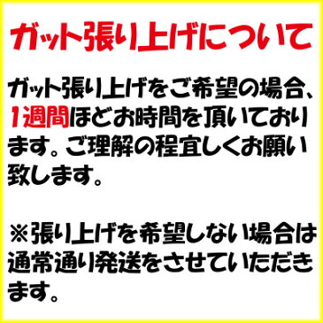 《500円OFFクーポン対象》《ガット無料》《工賃無料》《送料無料》2018年2月中旬発売　YONEX　ネクシーガ90DUEL　NXG90D　ヨネックス　ソフトテニスラケット