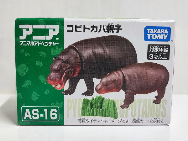 製品画像：24位