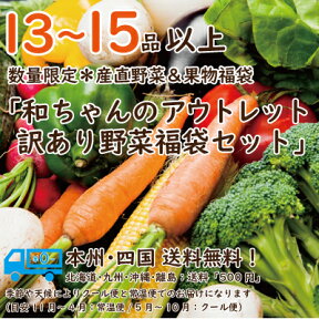 【野菜・果物詰め合わせ！送料無料！ランキング1位！】13～15品以上！生産者応援！農家厳選訳ありアウトレット福袋！野菜＆フルーツセット福袋「和ちゃんの福袋」お試しください！