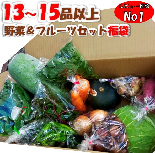 【野菜・果物詰め合わせ！送料無料！ランキング1位！】13～15品以上！生産者応援！農家厳選訳ありアウ..