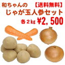 【送料無料】和ちゃんのじゃが玉人