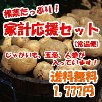 【★送料無料★】根菜たっぷり！家計応援セット※沖縄・離島は別途追加送料525円を頂きます。★関東以外の地域は、14時以降の配達となります。のサムネイル