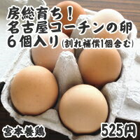 千葉県館山市産特殊卵房総育ちの「名古屋コーチンの卵」6個入り(割れ補償1個含む)
