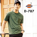 Dickies fBbL[Y D787  TVc Xgb` iC Y fB[X t ƕ ƒ