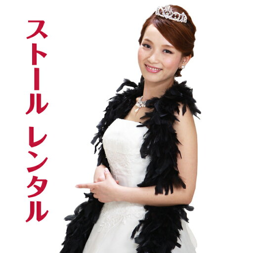 【ドレス ストール-レンタル】カラードレス ストール ブラック 黒 ショール ウェディング ウエディング 結婚式 ブライダル ドレス パーティ 2次会 st-sy0004【レンタル】 【ドレス ストール-レンタル】カラードレス ストール ブラック 黒 ショール ウェディング ウエディング 結婚式 ブライダル ドレス パーティ 2次会 st-sy0004【レンタル】