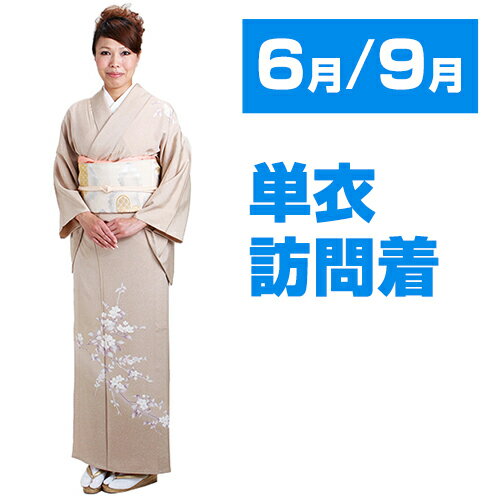 ˬñ6/9ʪ˥١忧 NT-301 ˬ 6 9۲Ƥʪ ˬ󥿥 ʪ󥿥 ܻ ޻...
