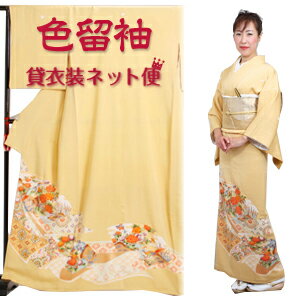色留袖 レンタル フルセット レンタル 色留袖 留袖 レンタル 貸衣装 叙勲 結婚式 結納 着物レンタル 往復送料無料 NT-21【レンタル】 色留袖 レンタル フルセット レンタル 色留袖 留袖 レンタル 貸衣装 叙勲 結婚式 結納 着物レンタル 往復送料無料 NT-21【レンタル】