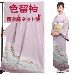 色留袖 レンタル フルセット レンタル 色留袖 留袖 レンタル 貸衣装 叙勲 結婚式 結納 着物レンタル あす楽対応 往復送料無料 NT-25【レンタル】のサムネイル