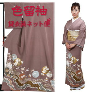 色留袖 レンタル フルセット レンタル 色留袖 留袖 レンタル 貸衣装 叙勲 結婚式 結納 着物レンタル 往復送料無料 NT-36【レンタル】 色留袖 レンタル フルセット レンタル 色留袖 留袖 レンタル 貸衣装 叙勲 結婚式 結納 着物レンタル 往復送料無料 NT-36【レンタル】