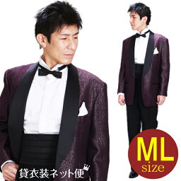 メンズタキシード【タキシード レンタル】M・Lサイズ/168cm～175cm/ワインシルバー 結婚式 スーツ パーティー 宴会 二次会 船上パーティ クルージング NT-UP-A305A 【あす楽対応】【往復送料無料】【レンタル】