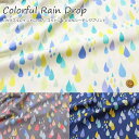 wColorful Rain DropJtChbvxRbg100V[`OvgfށFRbg100@nF106cmJ//̎q/LbY/xr[/l//EFA[//CeA/nhCh//