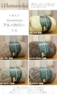 20%OFF!ハマナカ(毛糸)『Sonomono《アルパカリリー》』極太