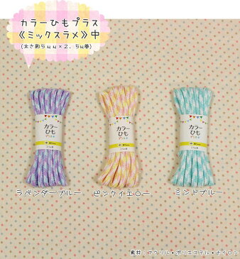 【キラキラパーツコレクション】『カラーひもプラス≪ミックスラメ≫・中』(太さ約5mm×2.5m巻)素材:アクリル・ポリエステル・ナイロンコード/紐/入園/入学/女の子/男の子/キッズ/巾着袋/お弁当袋/ハンドメイド/手づくり/