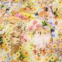 『Flower garden Cat≪フラワーガーデンキャッ...