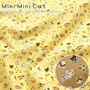 wMini Mini Cat~j~jLbgxRbg100IbNXvgfށFRbg100@nF110cmL/lR/j̎q/̎q/LbY/l//w///EFA[/CeA/nhCh/Â/