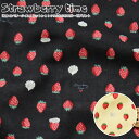 wStrawberry timeXgx[^CxRbg100ӂӂWK[[vgfށFRbg100@nF106cm/xr[/LbY/̎q//_uK[[/nhCh//EFA[//