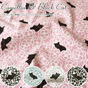 wCamellia & Black CatsJAƍLtxRbg100IbNXvgfށFRbg100@nF110cm΂//lR/mN/̎q/LbY/l///EFA[/CeA/nhCh/Â/