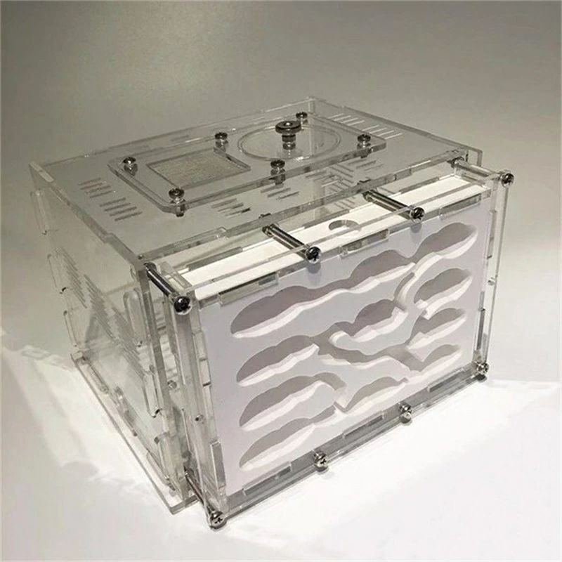 最安値挑戦／虫かご 飼育ケース アリの巣 蟻 観察 キット 石膏 アクリル 給餌エリア Lサイズ 自由研究 ..