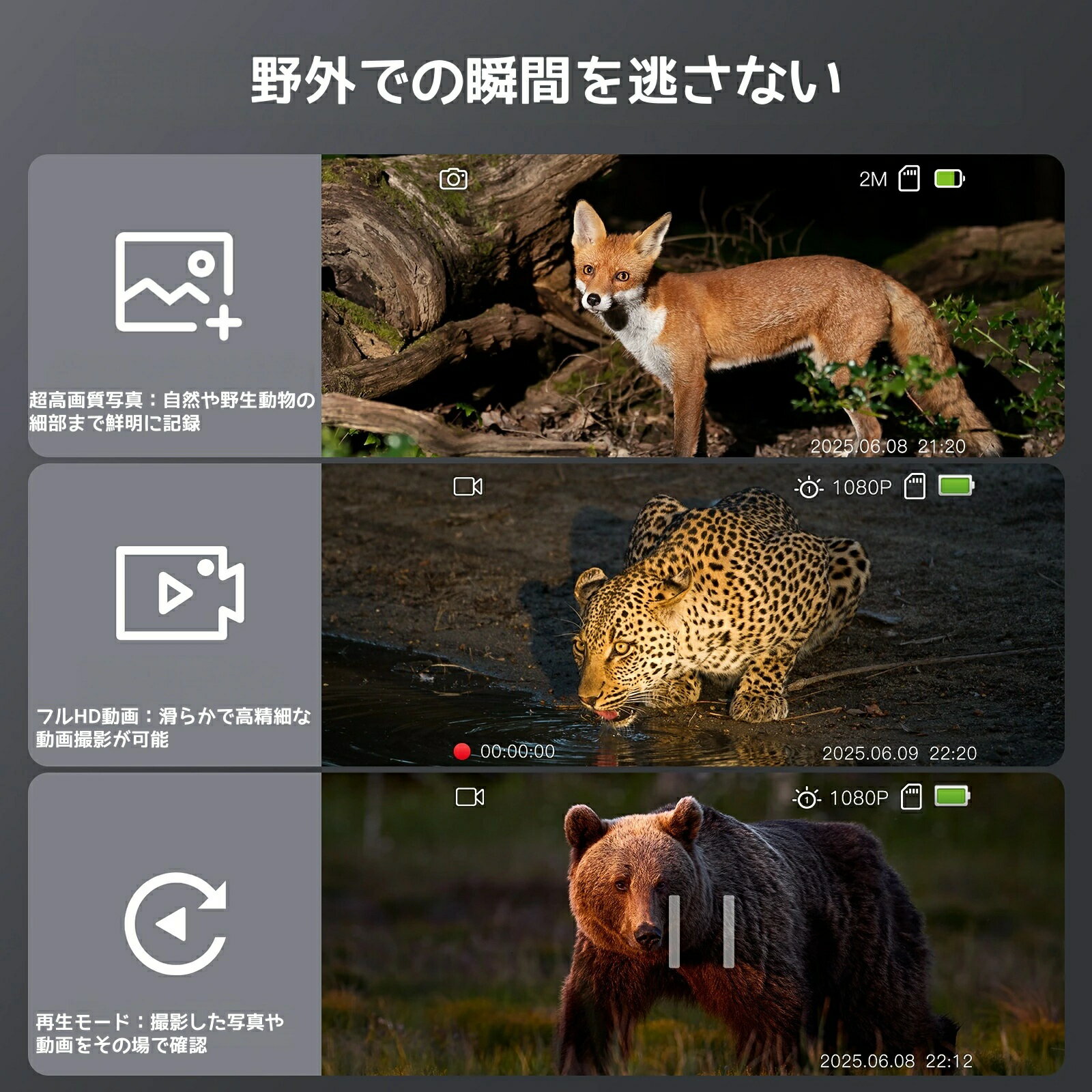 Teslong ナイトビジョン双眼鏡 NV-G01