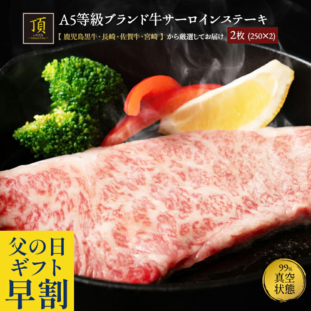 父の日 早割 で8,880円 黒毛和牛 A5 サーロインステーキ 贈答用 国産(九州産) 500g(250g×2枚) 高級 最高ランク 厚切り 取り寄せグルメ 焼肉 BBQ バーベキュー ギフト 贈答用 プレゼント 食品 送料無料 ギフト 父の日 早割 プレゼント 実用的 70代 食べ物 父の日ギフト