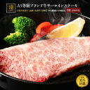 黒毛和牛 A5 サーロインステーキ 贈答用 国産(九州産) 500g(250g×2枚) 高級 最高ランク 厚切り 取り寄せグルメ 焼肉 BBQ バーベキュー ギ...