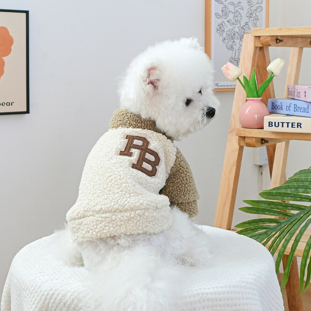 �ڥå��� ���� ���� �ݲ� �ڥå�����